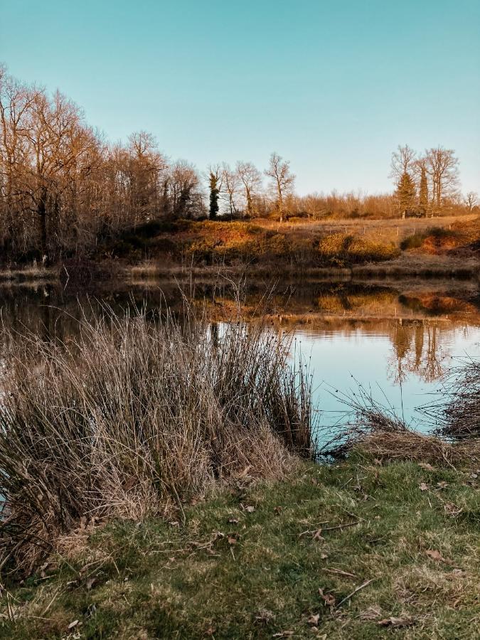 La Ferme Du Pont De Maumy, Cabane Au Bord De L'Etang Et Bain Nordique Busserolles Екстер'єр фото