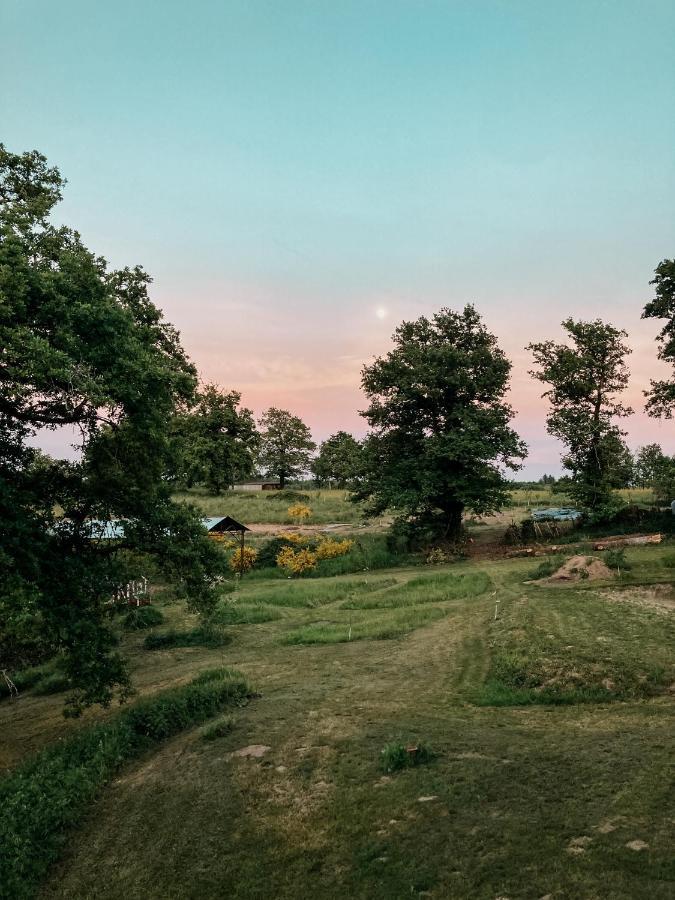 La Ferme Du Pont De Maumy, Cabane Au Bord De L'Etang Et Bain Nordique Busserolles Екстер'єр фото